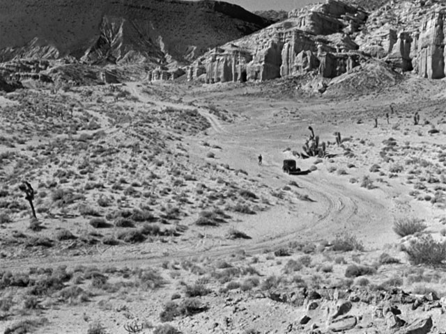 The Petrified Forest