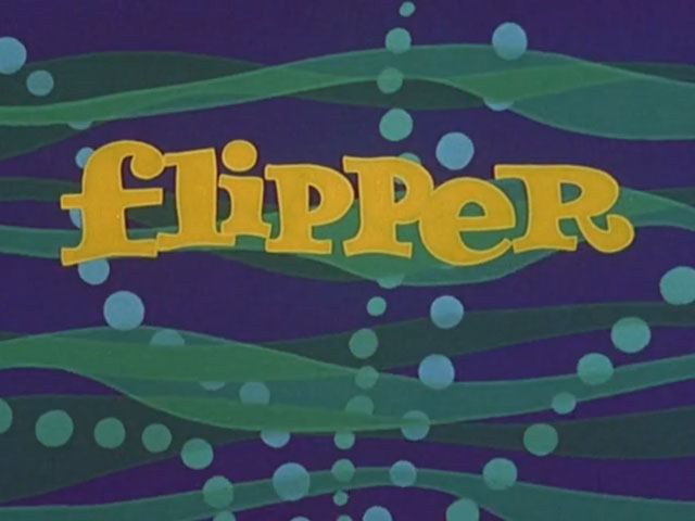 Flipper's Bank Account