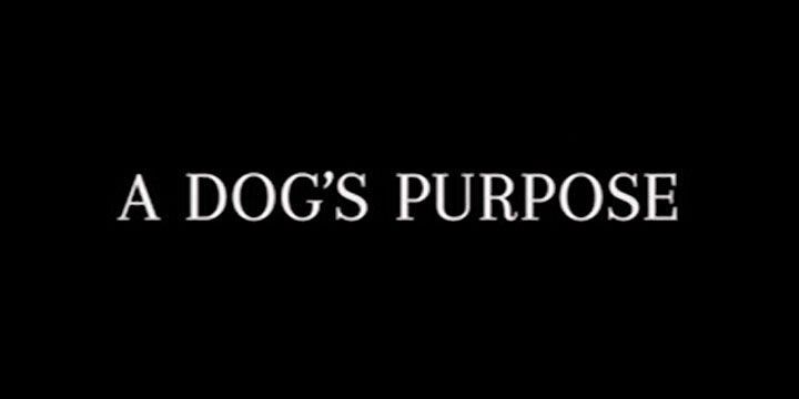 a dogs purpose backlash
