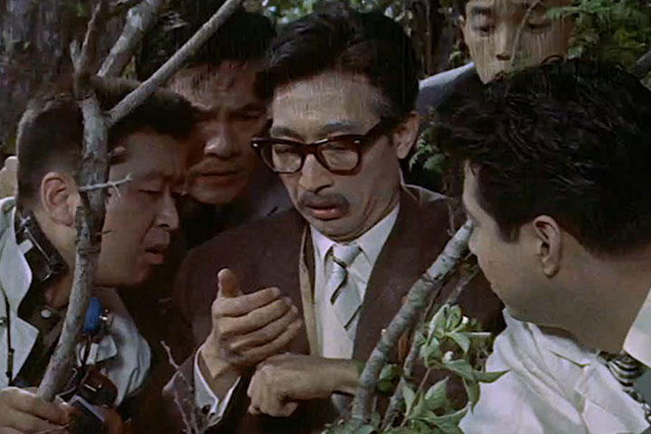 King Kong vs Godzilla