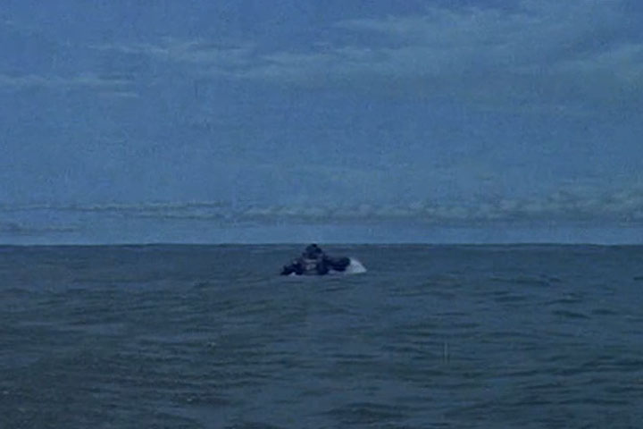 King Kong vs Godzilla